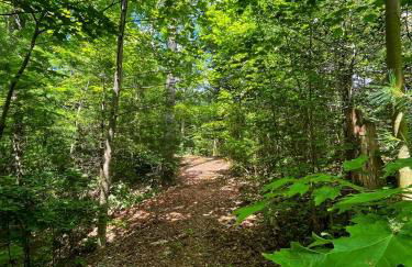 Tiny House, WIFI,Hot tub,Secluded - Foto 21