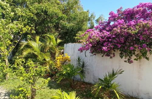 Casa INTI de Maracajaú - Foto 11