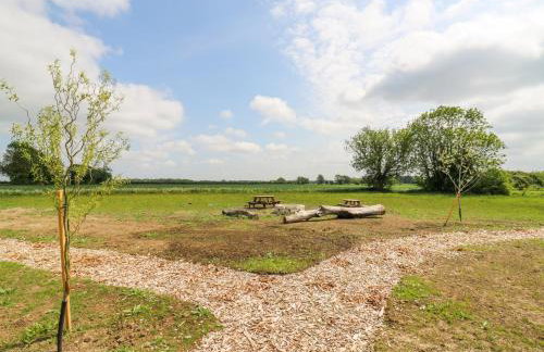 Woodpecker - Foto 23