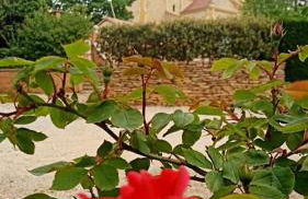 Les Jardins du castel gites Annick et Jean paul - Foto 34