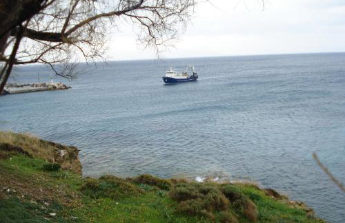 Paros Carmel studio-apartment - Photo 53