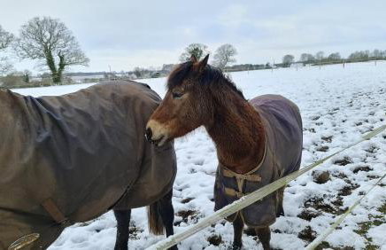 Church Farm Lodge - Foto 26