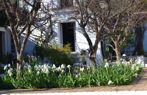 Las Navezuelas - Photo 11