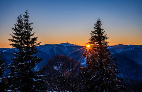Ferienwohnung "Schlüchttalblick" mit privater Sauna, Ühlingen-Birkendorf - Foto 26