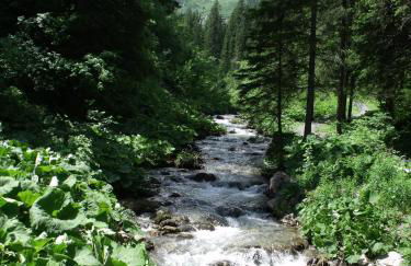 Le Ciel Bleu - Foto 17