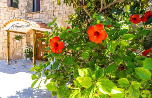 Maryvilla Inspiracion y Vacaciones - Grand Villa Penon - Photo 12