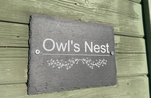 Owls Nest Log Cabin - Foto 24