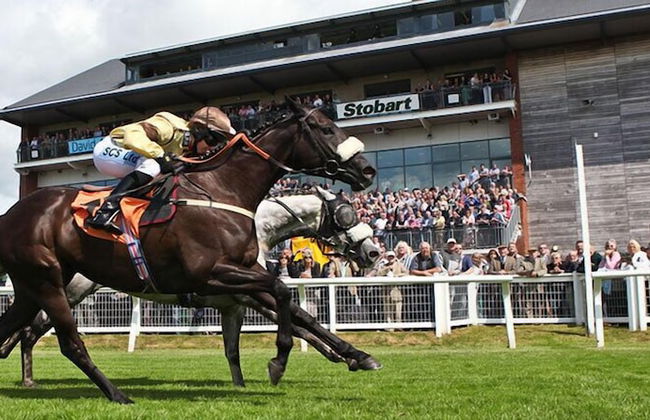 Pheasant Lodge Scottish Borders - Foto 24