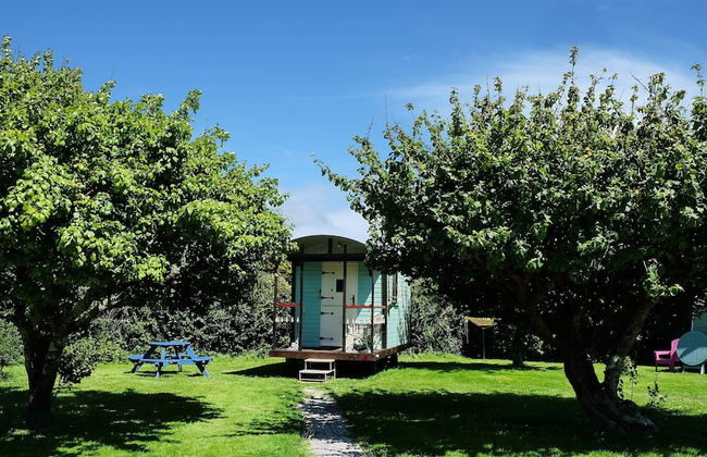 Cosy Shepherds Hut nr Kynance Cove - Foto 12