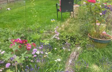 The LITTLE HOUSE in HULL - Foto 33