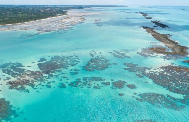 Giro in barca fra le piscine naturali di Japaratinga - Foto 4