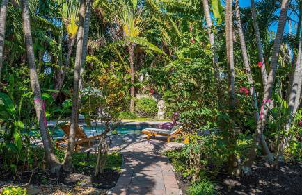 The Pink Palms Retreat - Foto 7