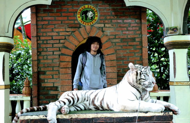 Homestay Sembiring Puncak - Photo 22