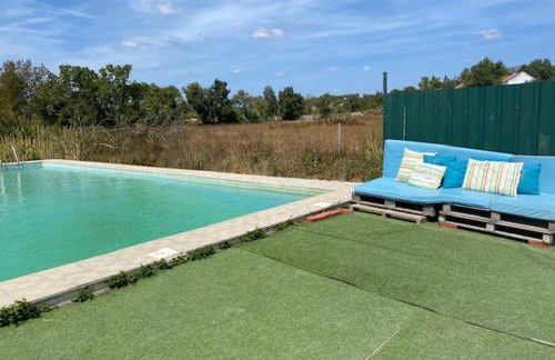 Santuário SOS Animal - Foto 45