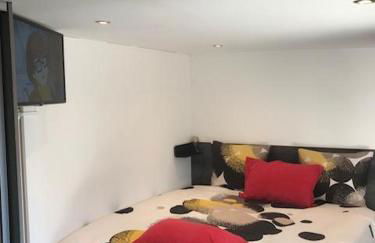 Studio Moovy Proche Stade Groupama, LCLD ARENA , Eurexpo Lyon - Foto 3