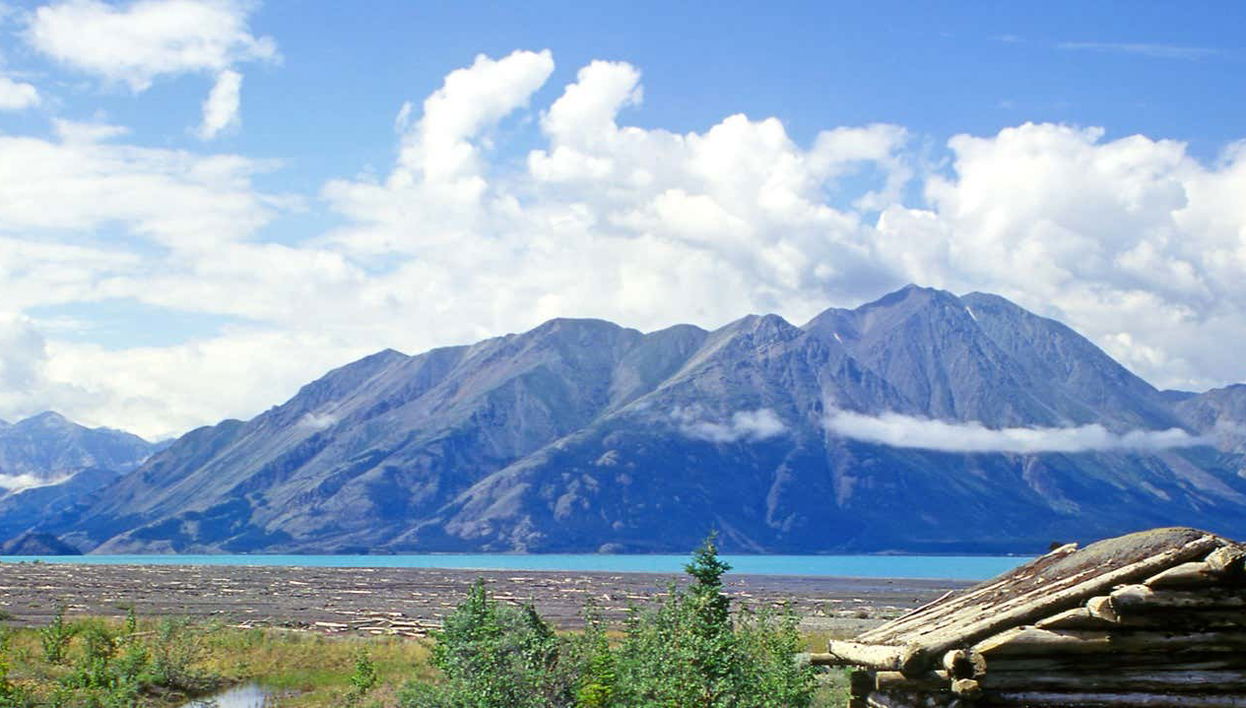 Wild Yukon & Hot Springs Tour