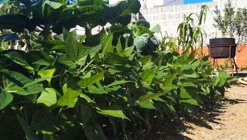 Holiday Home Edara Home - Haus mit privatem Garten by Interhome - Foto 4