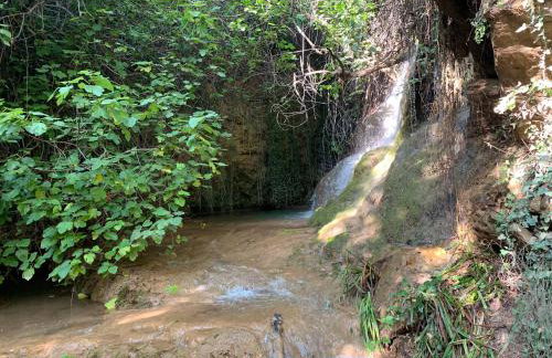 Villa Río Béjar - Photo 5