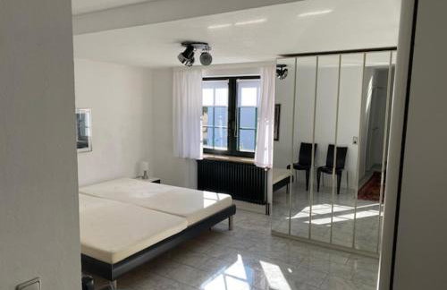 Excl Ferienwohnung im Dreiländereck D-F-CH mit beheiztem kl Pool zum Schwimmen und Massieren - Foto 26