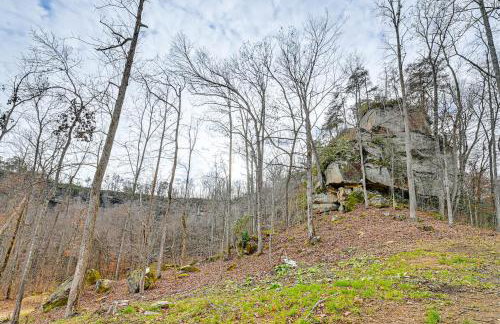 Hike and Climb Pet-Friendly Red River Gorge Cabin! - Foto 29