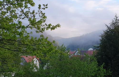 Ferienwohnung Lug - Foto 24