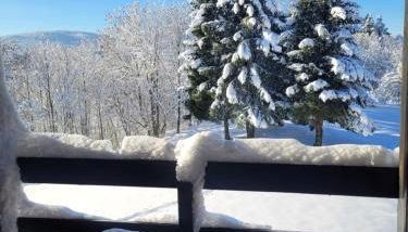 LE CHALET des 3 Sapins, Superbe Duplex Montagnard avec balcon, au calme - Les Rousses, Draps inclus & Parking gratuit - Foto 4