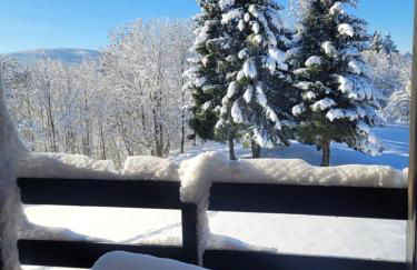LE CHALET des 3 Sapins, Superbe Duplex Montagnard avec balcon, au calme - Les Rousses, Draps inclus & Parking gratuit - Foto 4