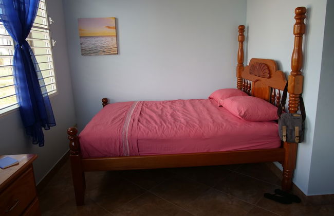 Savannah Sand Dollar - Foto 4