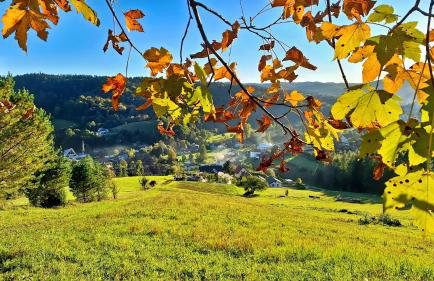 Domek Malinowy - Photo 50