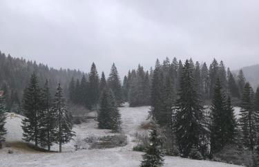 Appartement La Dole et Sens Au pied des pistes - Foto 27