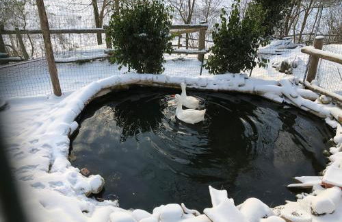 Agriturismo Il Sentiero - Foto 35