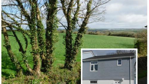 Primrose Cottage, spacious 4 bed house near Newquay - Foto 1