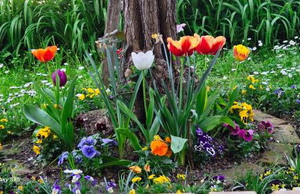 Casa Kendra - Photo 28