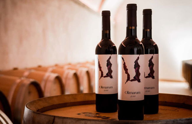 Visita alle cantine Olimarum - Foto 2