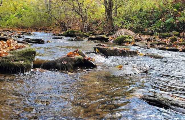 Catskill Retreat - Foto 75