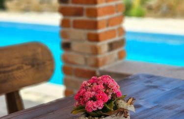 Holiday homes Sintija - Foto 44