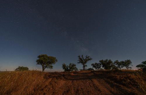 Corvatos Casas do Monte - Foto 11