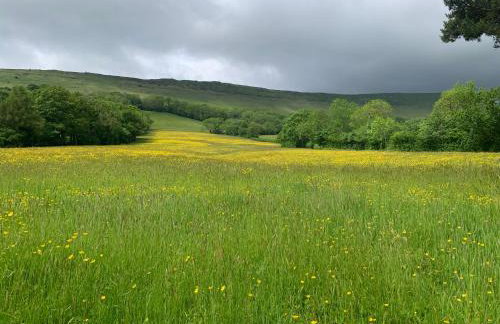 White Haywood Barn - Photo 35
