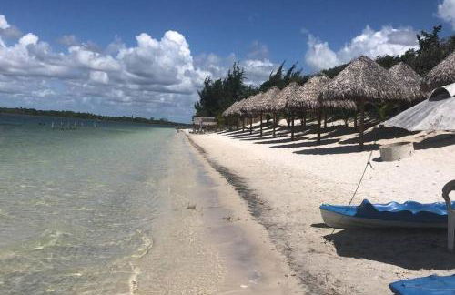 Casa carcará em Barrinha - Foto 12