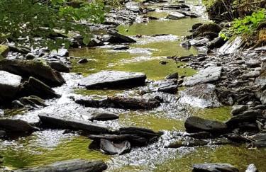 Ferienwohnung Heideberg - Foto 20