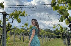 Poggio agli Ulivi vicolo di Colle Reti 22 Frascati - Foto 12