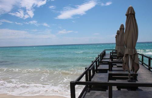 Masseria Tenuta Specolizzi - Foto 59