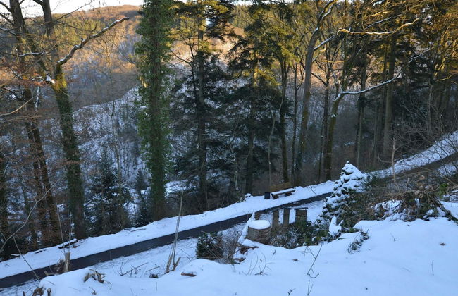 Wunderschone Ferienwohnung im Burgenland - Photo 25