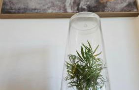 Arbre Blanc, une folie montpelliéraine - Photo 41