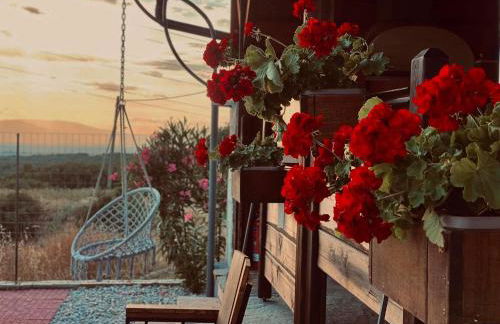 ΛΩΤΟΣ - Photo 33