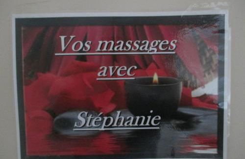 Studio & Gîte Zen de Beauval- 800 m du Zooparc - Photo 41