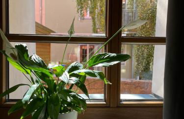 Appartement 5 Predigergasse - Foto 12