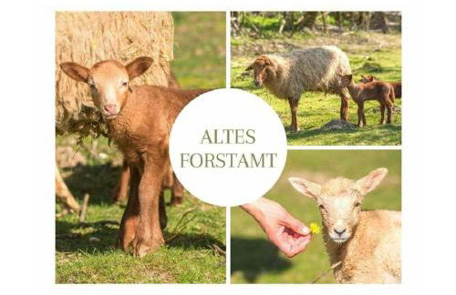 Apartment in a Wooded Area on Lake Faak - Foto 51