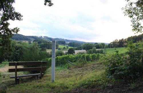 FeWo Harling - Waldsamkeit - Foto 10