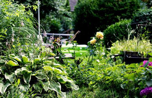 Souterrainwohnung mit großem Garten und Sauna - Photo 21